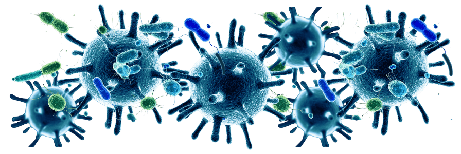Bacteria illustration