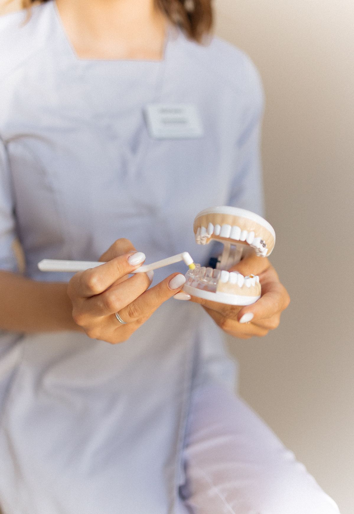 Dental professional with tooth model