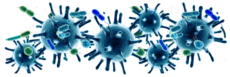 Bacteria illustration
